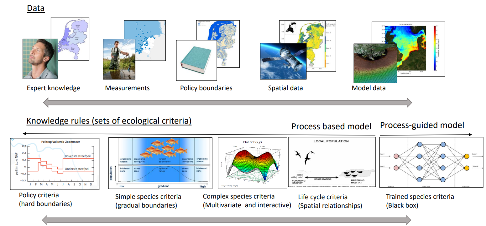 Data overview