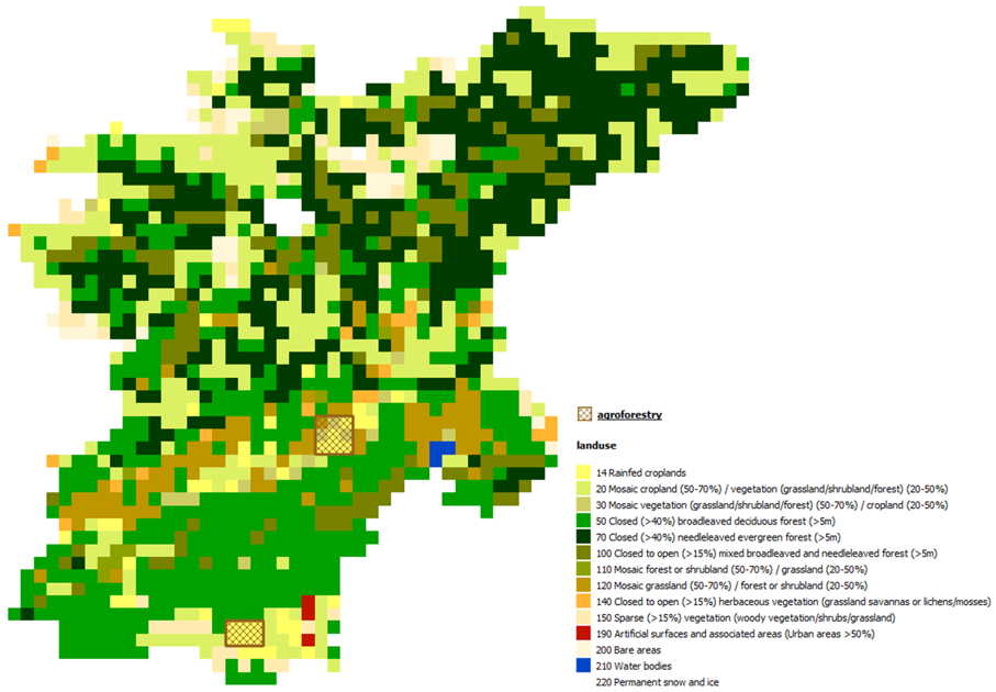../../_images/setup_agroforestry.png