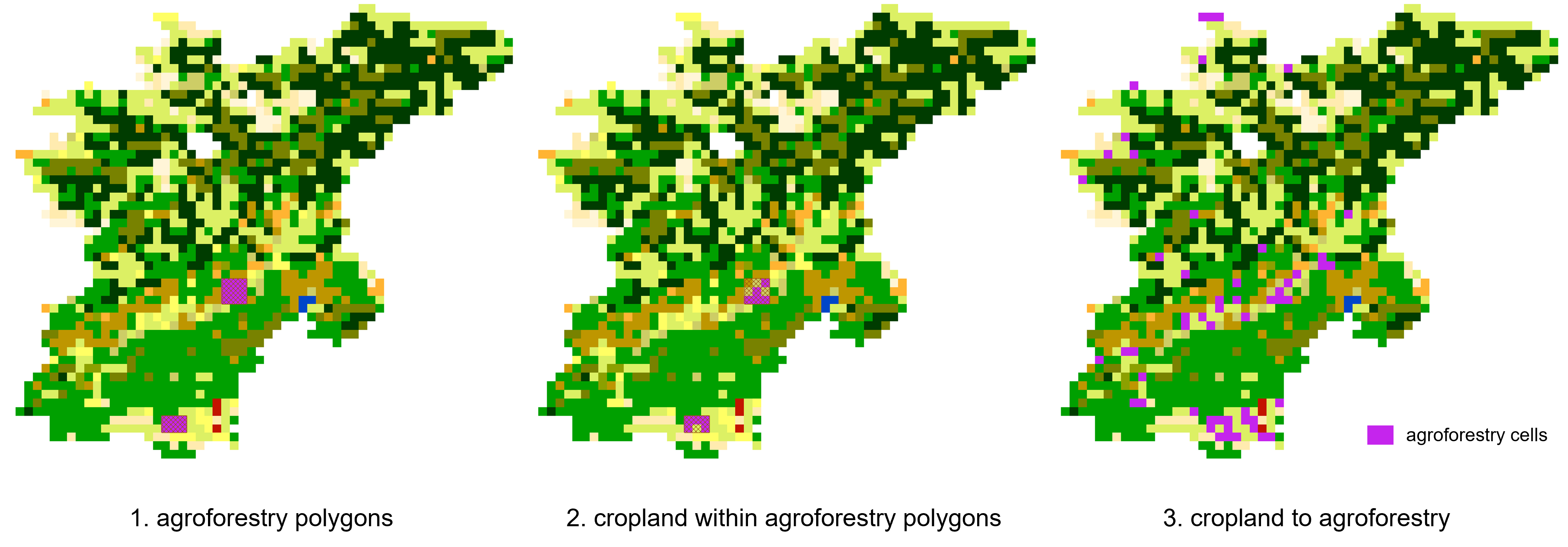 ../../_images/setup_agroforestry_outputs.png